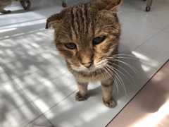 77B6BC65-E740-4E1F-8074-951E495CE9A9