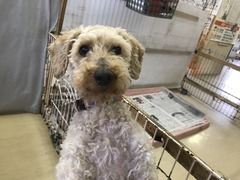 182DC78F-7AF0-4AB6-9949-B429CDE08354