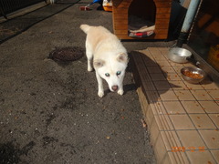 DSC06950