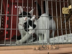 C8017FAA-04DC-4354-9644-0912437DCE1E