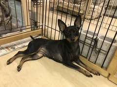 B5436BD0-619B-4E20-A527-94DB24F1C431