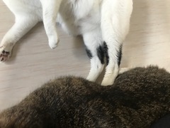 F9D66B60-F364-4129-B4AD-DEAFC42FBA69