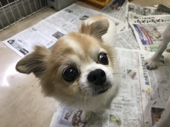 BCB48369-AF70-4FA8-8DD5-EB0E63386733