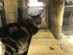 85002D7A-F12E-445B-AED4-AC46F19CCBF1