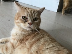 DD18125F-980C-4652-84FB-7FB4D9B37789