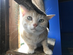 DD15BD32-6E61-4E18-B0BE-FCFB6FA24944