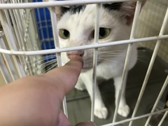 D14FDE88-759D-4F87-8803-8C6EA9C383FA