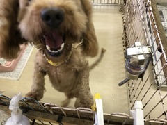 B414B091-6377-4D4B-9274-66CC89DB3DD2