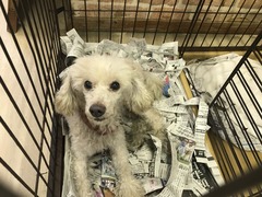 67092C33-2DB6-46AA-895F-3ACC8458797A