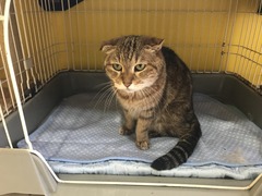 54BF00DC-2380-42F6-BB4A-05140D9044C0