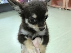 ABF97FD1-5640-4CE8-B147-A1225462C2C8