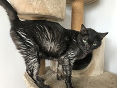 42E9F2B4-C6A5-4DB7-8C7F-81A54C16C3FF