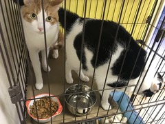 7A9E66AA-72F8-490D-BD4B-1C1635B388CE