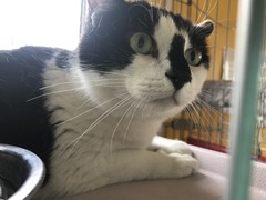 5AB2C1DB-ECCB-4CF7-A32E-6E1D8B99110D