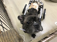 8DD6C1F6-FAA7-4228-BF10-374E4CF63825