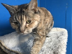 A40BF09E-B92C-4242-ABDF-2CC3C33E3750