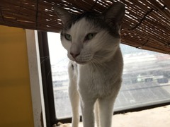 A74B7CD5-2179-48FD-8129-F756D0C8B747