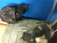 CC8EFA86-FF9E-48DA-90EC-40B60563FB6F