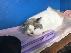 327C3AEA-59B3-433D-92E1-B1AA0E30307A