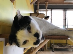 DB2DFC8C-7511-4251-A728-53289E40190F