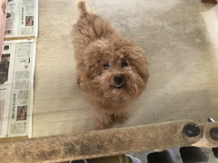 B174DA31-AAA6-4BC1-BBE3-BFB239A0D4AA