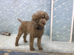 3B381076-5982-4BC2-A9E8-C4DD387761F0