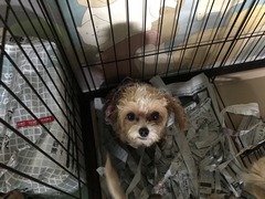 2B0D62ED-DAA0-4880-BAEC-E4A9CBF9B702