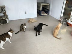 C1664D46-7CC2-4881-893A-7ED7D99B81A2