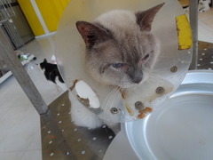 DSC05425