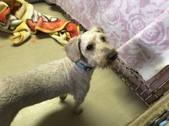 CC81A0BB-D5A9-4E98-8C0E-9C9CCC9A25A8