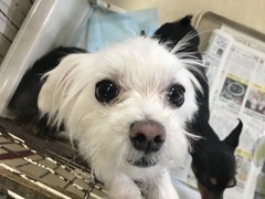 BDCE3722-674D-4080-B13C-0F16D1B00836