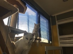 5F12D2FA-EDDC-4662-90FA-F2030BA3C932