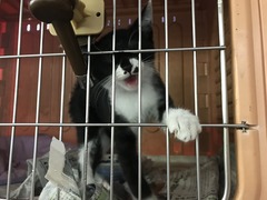 824ADC97-3868-48A4-AB0A-C4CD075F4A5F