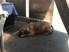 6D1606F2-77CA-4FFF-AE07-62ED6CC20BF4