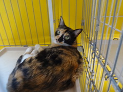 DSC08180