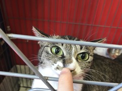 A41F432D-72F9-4E5B-9613-A889940DCF96