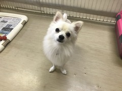 6DC60FD2-FB50-4794-B321-999E1EE12D48