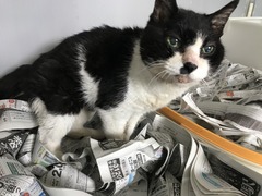 A6CC2FFF-8718-4050-A774-54AED38816A3