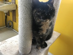 79A9EA5F-8E0F-4506-A5CA-CAC27A7911AC