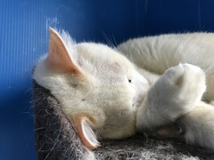 C1CD2991-3309-4D21-8A2D-FEA1B6856CEE