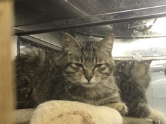 B5991835-B1EA-43F0-9425-06E8D5A4E224