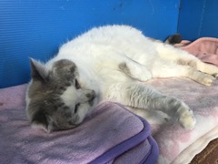 76B8F53B-45B6-4AF3-BBAF-55D7358412DF