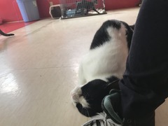 6FFDA572-77B6-4BEA-BEBF-F0FCCBA5CEA2