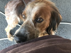 A0434EAF-382B-46F6-B887-E1BBFAF7F80C