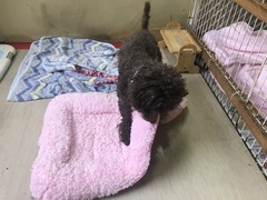 21583889-F53A-42E7-AA64-FE7B48AC941A