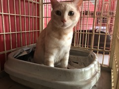 D78EBDDB-34CF-49DC-B18C-BD088126942D