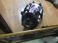 709CE3A2-0777-463E-A9C7-F70A28482E27