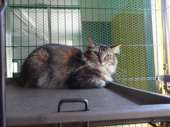 DSC08740