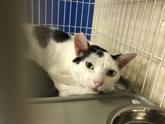 830E8D27-F904-4D5D-A892-8B527B57ED9C