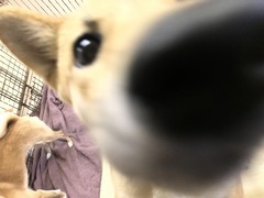 0A678CC5-6731-45FE-B9AD-19FC92937CE4